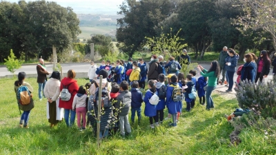 Sa de 5 diris de s'innestu.