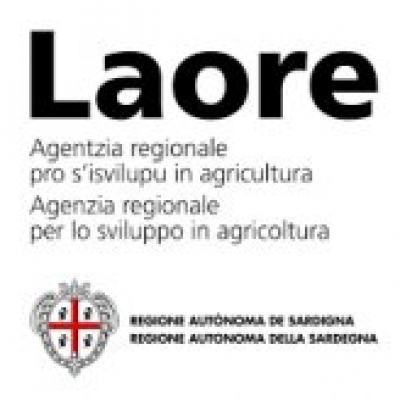 At&oacute;bius formativus "Laore"