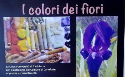 Su colori de is froris