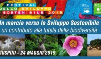 Festival de su svilupu de profetu 2019