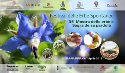 Ussaramanna: Sa de 35 editzionis de s'Ammosta de is Erbas Arestis e sa Festa de sa P&agrave;rdula