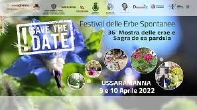Sa de 36  Mustras de is erbas e sagra de sa p&agrave;rdula 9 &ndash; 10 Abrili 2022