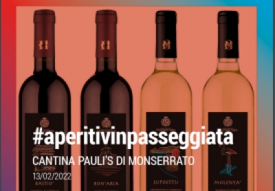 Binu &amp; Cultura: Workshop, tastadura e v&iacute;sitas acumpangiadas