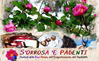 Seulu. Sa de 13 editzionis de "S'Orrosa 'e Padenti".